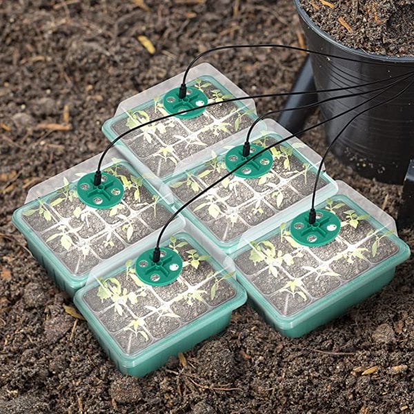 🔥HOT SALE🔥Seed Starter Trays with Grow Light