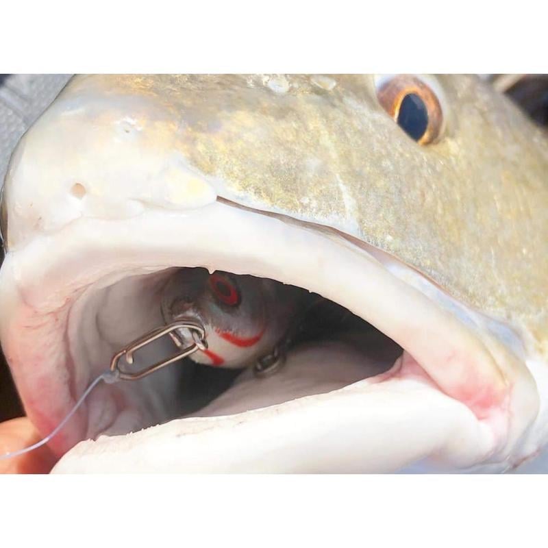 🔥🔥Speed Clips🐟