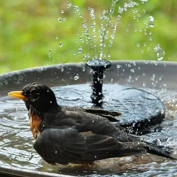 Hot Sale🔥⛲ Solar Fountain, Solar Powered Bird Bath Fountain Pump