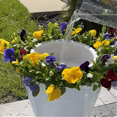 Hot Sale🔥⛲ Solar Fountain, Solar Powered Bird Bath Fountain Pump