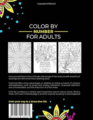 🎁49% OFF This Week Promotions🎉🎉-Color By Number For Adults