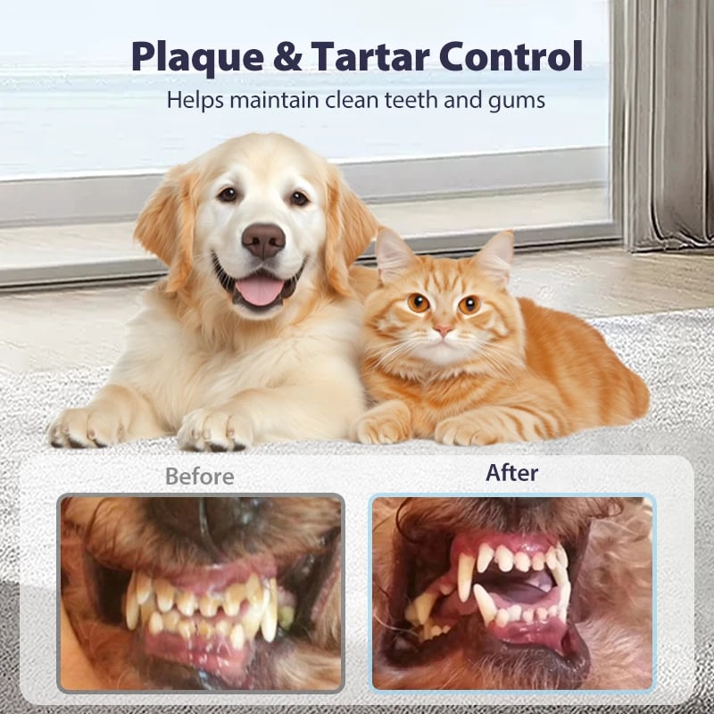 🐾No-Brush Pet Dental Care Spray