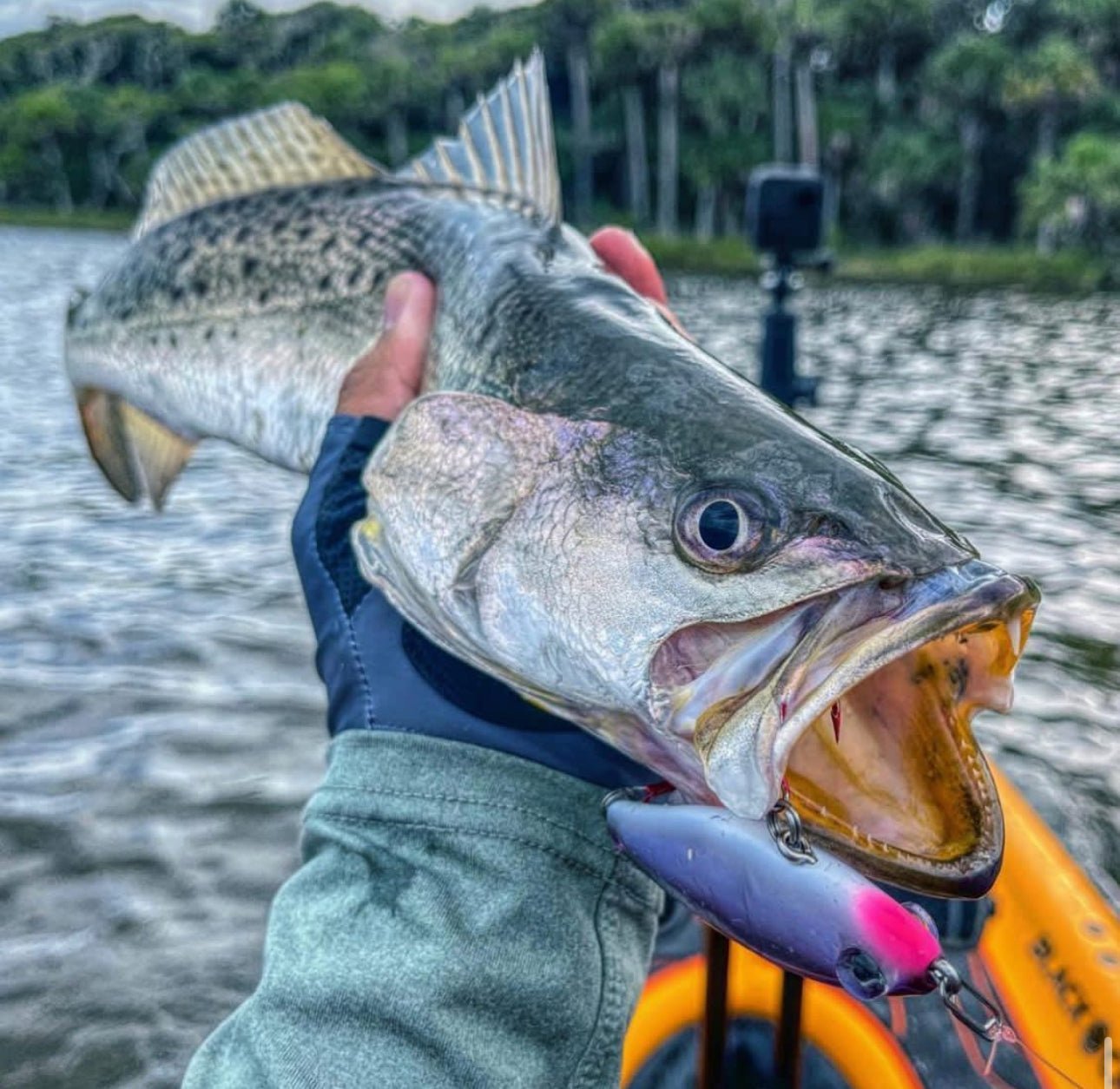 🔥🔥Speed Clips🐟